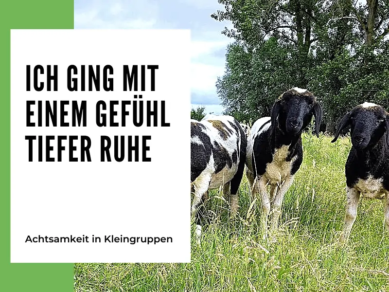 Ich ging mit einem Gefühl tiefer Ruhe
