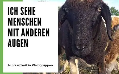 „Nach diesem Abend sehe ich die Menschen noch einmal mit anderen Augen“