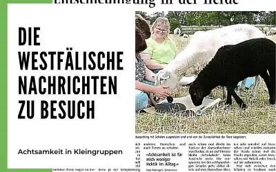 Eine Reportage über mein Achtsamkeitscoaching