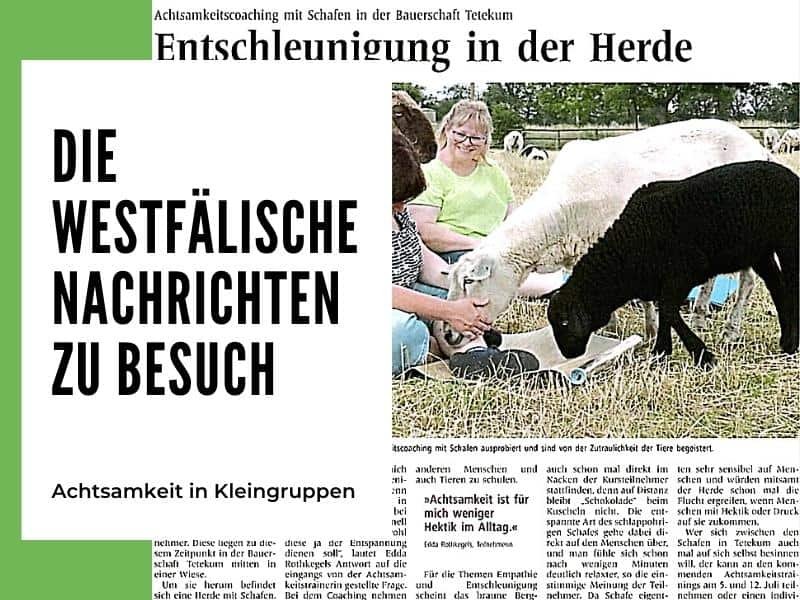 Eine Reportage über mein Achtsamkeitscoaching