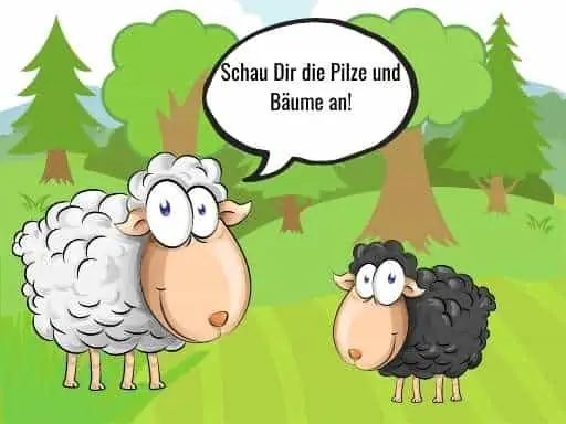 Schau Die die Baeume an