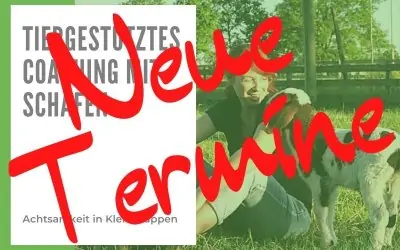 Achtsam in die Woche und achtsam ins Wochenende