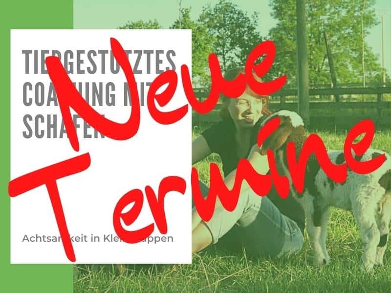 Achtsam in die Woche und achtsam ins Wochenende