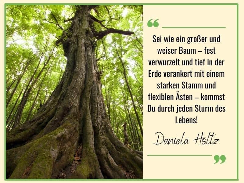 Sei Stark Wie Ein Baum Spruch coachingraumnatur.de