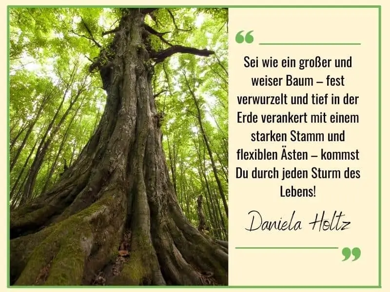 Sei wie ein Baum