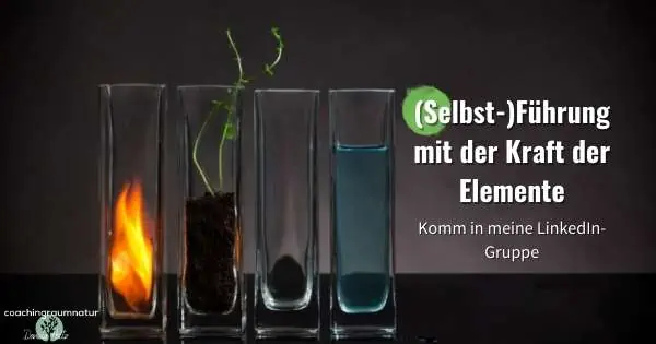 Führung mit der Kraft der Elemente