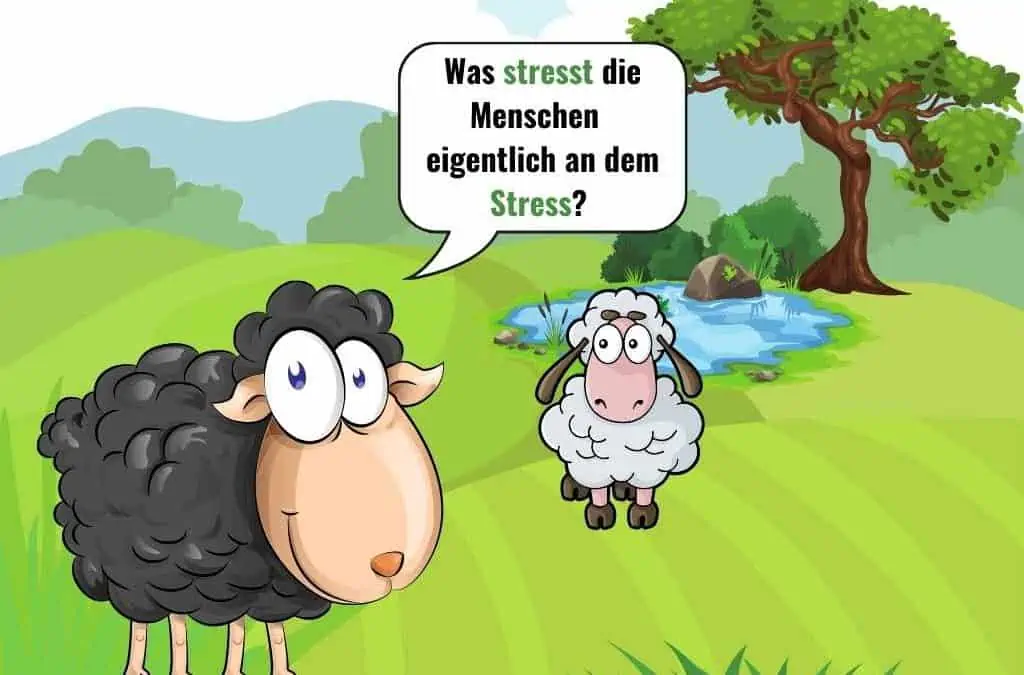 Geschichten von Schaf Schokolade – was stresst die Menschen eigentlich an dem Stress?