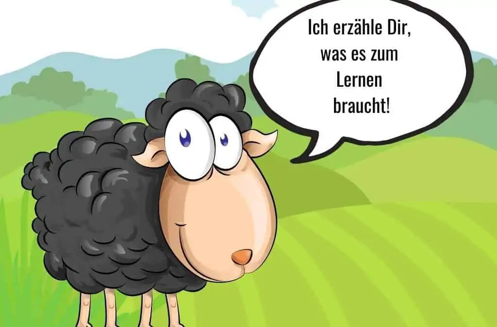 Geschichten von Schaf Schokolade – was es zum Lernen braucht!