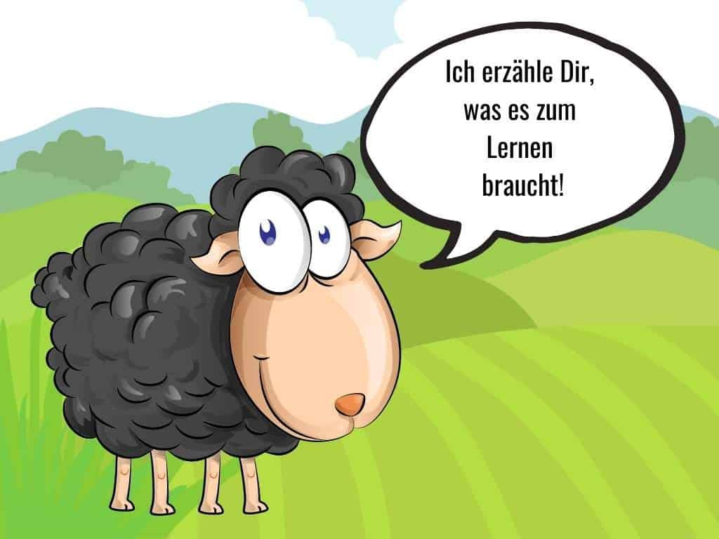 lernen