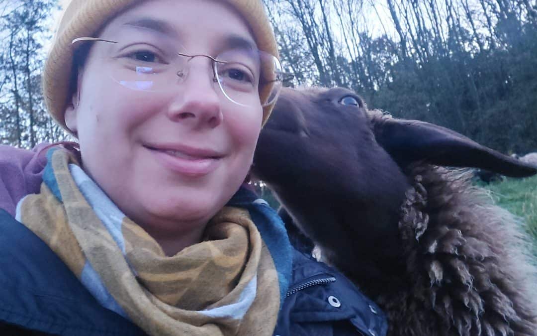 Schafscoaching im Winter? – Auf alle Fe(ä)lle!