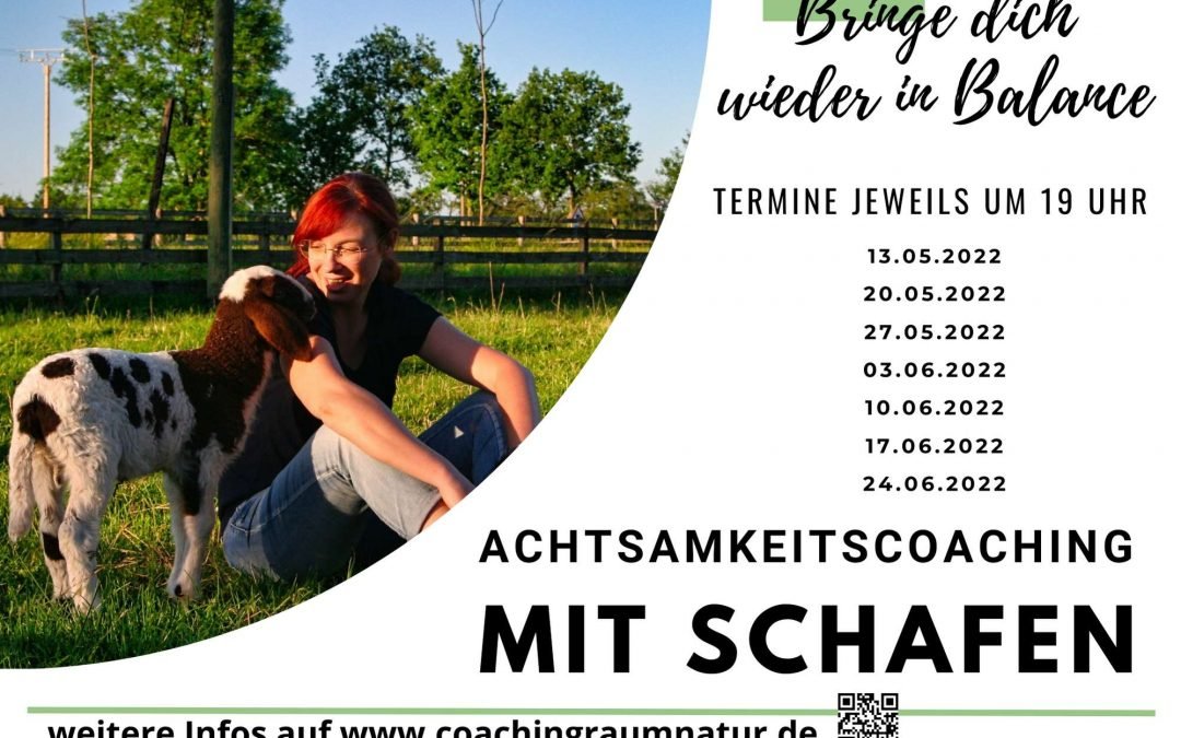 Endlich geht es wieder los! Neue Termine bei den Schafen