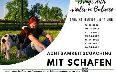 Endlich geht es wieder los! Neue Termine bei den Schafen