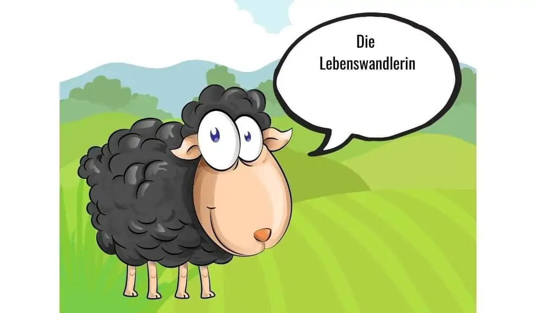 Geschichten von Schaf Schokolade  – die Lebenswandlerin