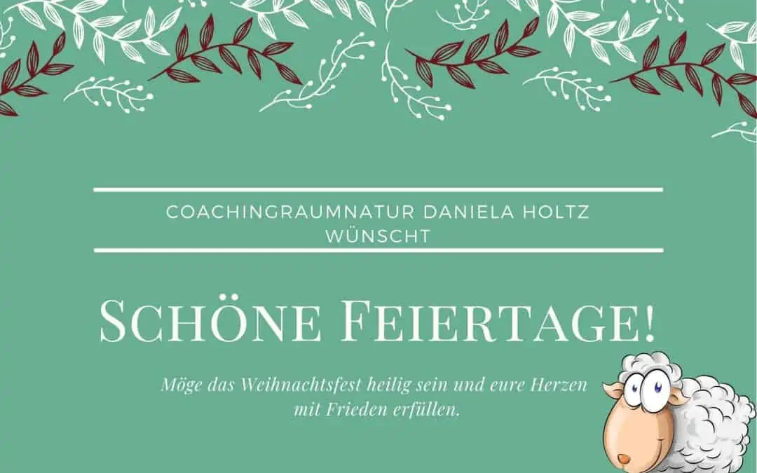 Fröhliche Weihnachten, ein herzliches Dankeschön und Ausblick in 2023