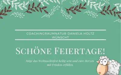 Fröhliche Weihnachten, ein herzliches Dankeschön und Ausblick in 2023