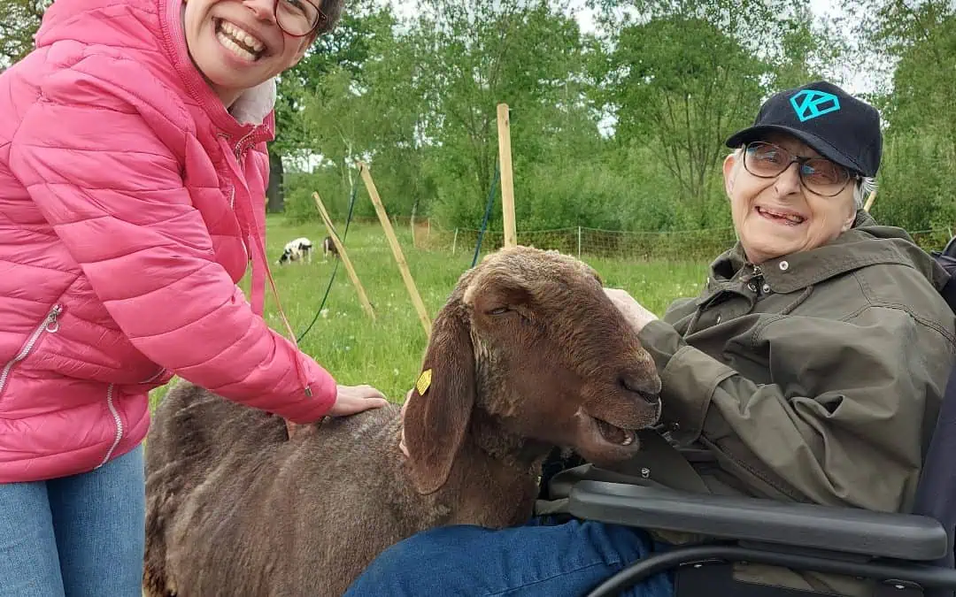 Lebensfreude pur mit den Schafen