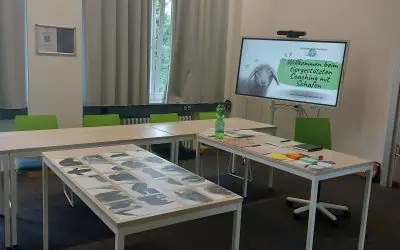 Schafe in der VHS Lüdinghausen – Start des VHS Kurses „Tanzt du aus der Reihe“