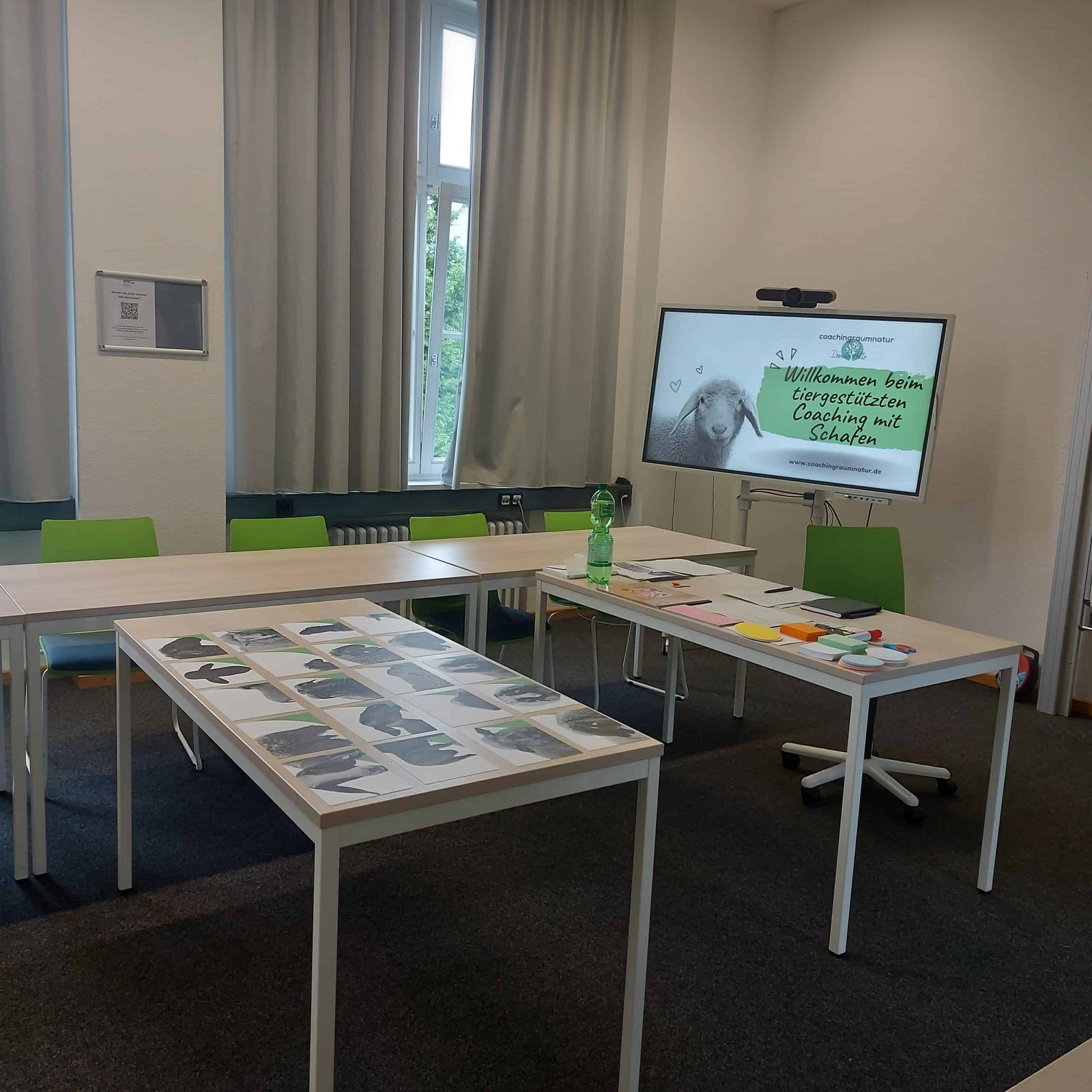 Schafe in der VHS Lüdinghausen – Start des VHS Kurses „Tanzt du aus der Reihe“