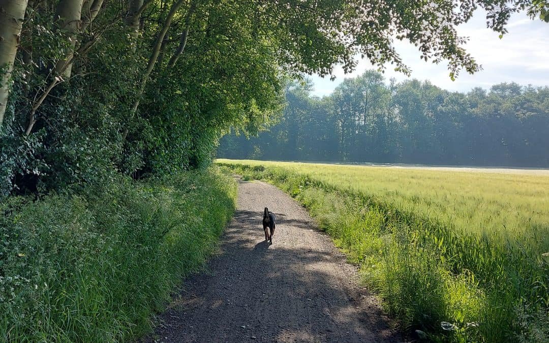 Einfach sein – im Hier und Jetzt