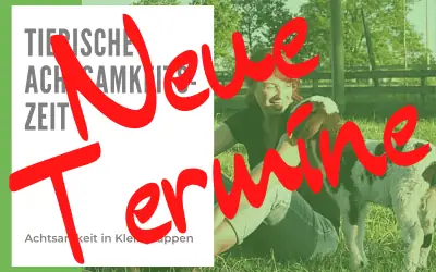 Tierische Achtsamkeitszeit – Tiere & Natur spüren, sich selbst begegnen