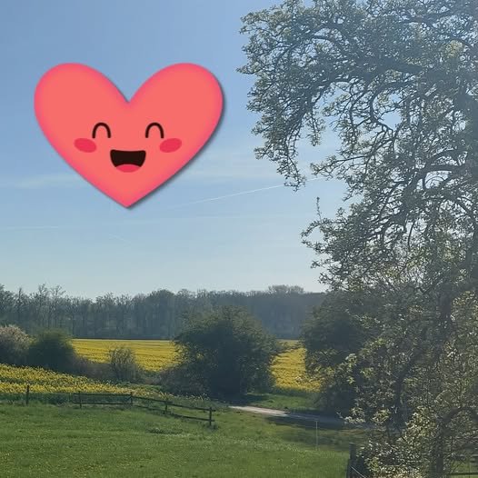 Wenn ich auf mein Herz höre… – eine Übung mit Tiefgang