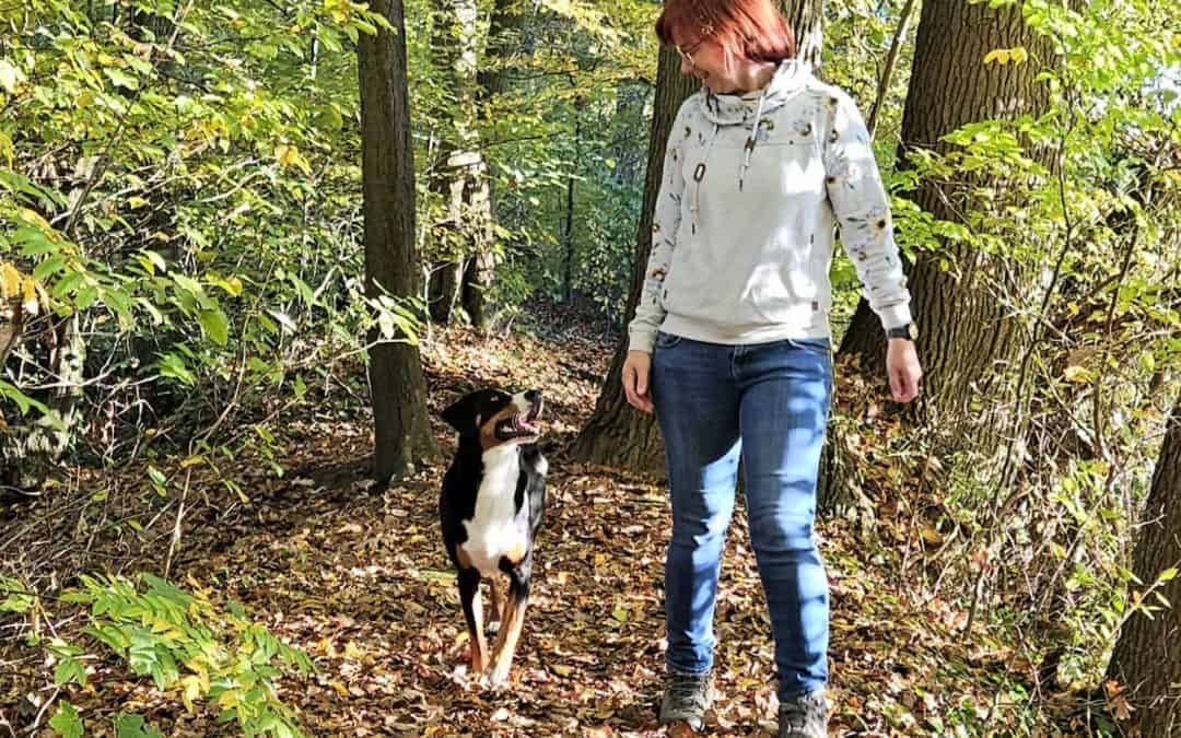 Waldbaden mit Hund vs. Spaziergang mit Hund im Wald – 6 klare Unterschiede