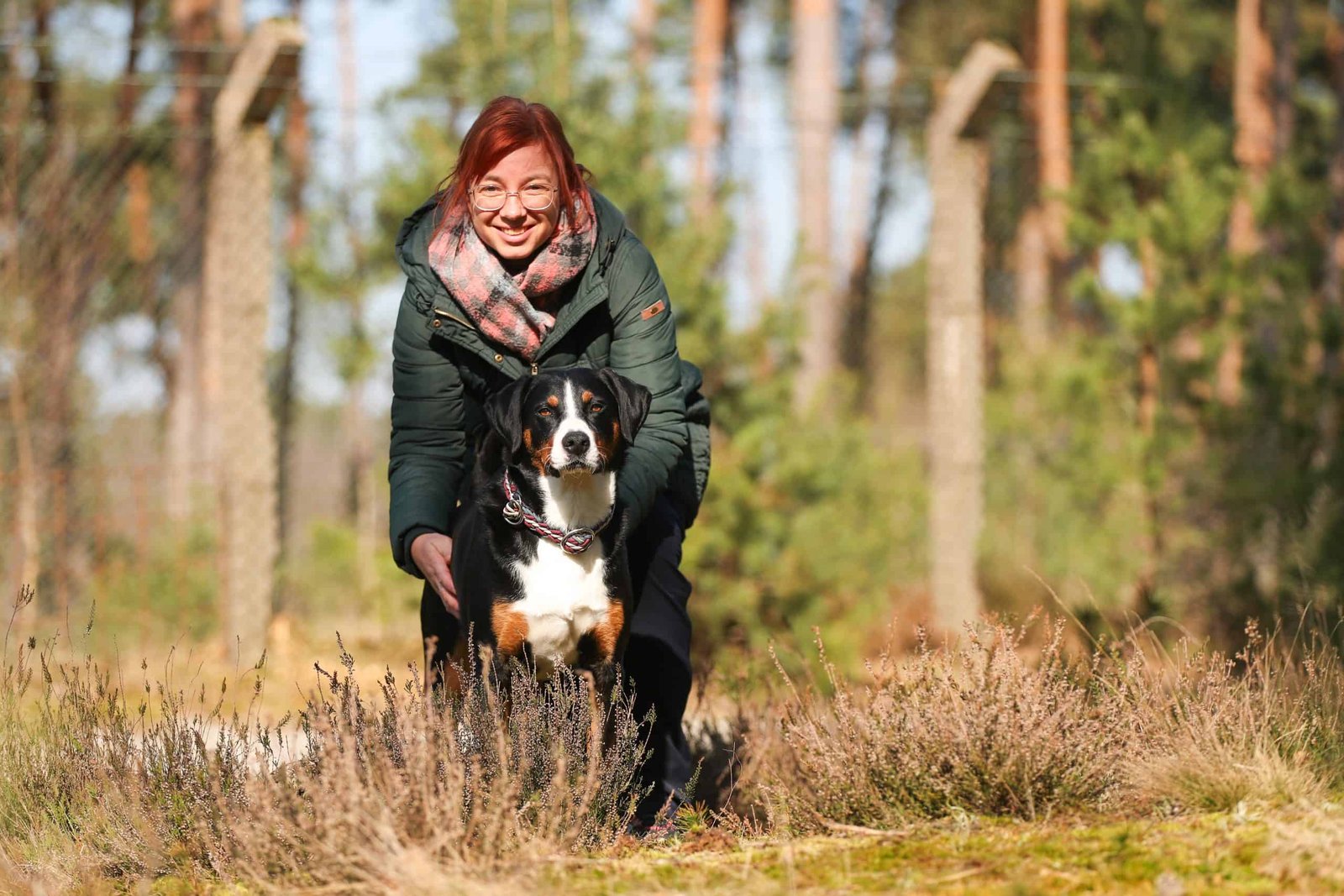 Coaching mit Hund: Tiergestützte Intervention mit Ramo