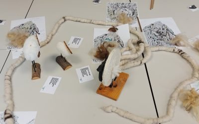 Entspannen mal ganz anders – Ein Vormittag mit Schafen, Achtsamkeit und bewusster Atmung