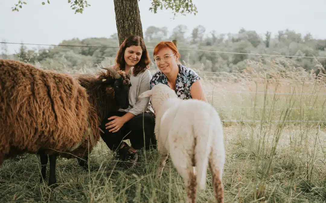 Eltern-Kind-Workshop in der Natur: Achtsamkeit mit Schafen erleben