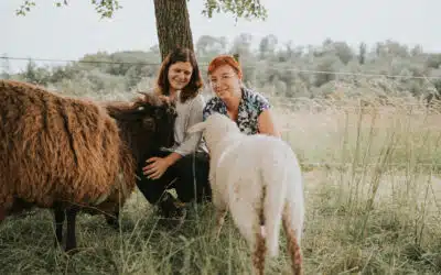 Eltern-Kind-Workshop in der Natur: Achtsamkeit mit Schafen erleben