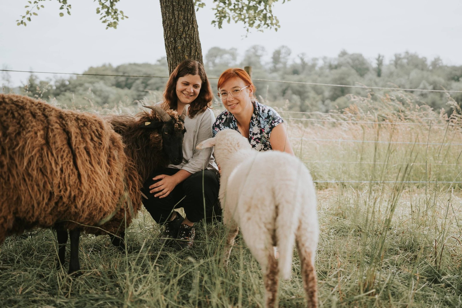 Eltern-Kind-Workshop in der Natur: Achtsamkeit mit Schafen erleben