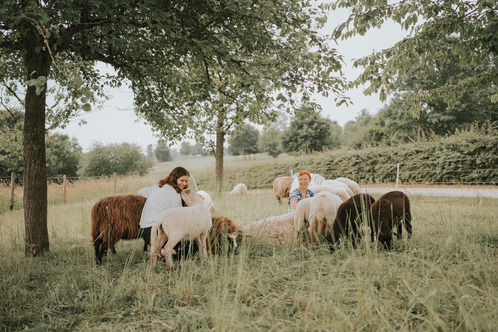 Schafgeflüster und warum Zeit mit Schafen Kindern guttut: