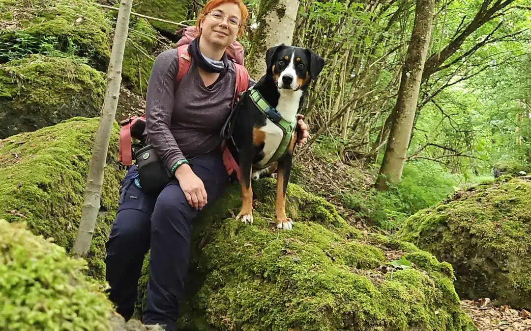 Waldbaden & Achtsamkeit in der TGI: Fachkräfte-Workshop für Mensch-Hund-Teams