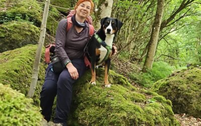 Waldbaden & Achtsamkeit in der TGI: Fachkräfte-Workshop für Mensch-Hund-Teams