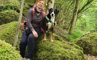 Waldbaden & Achtsamkeit in der TGI: Fachkräfte-Workshop für Mensch-Hund-Teams
